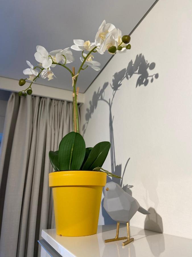 Apartament Moderne Studio Aan Zee Ostenda Zewnętrze zdjęcie